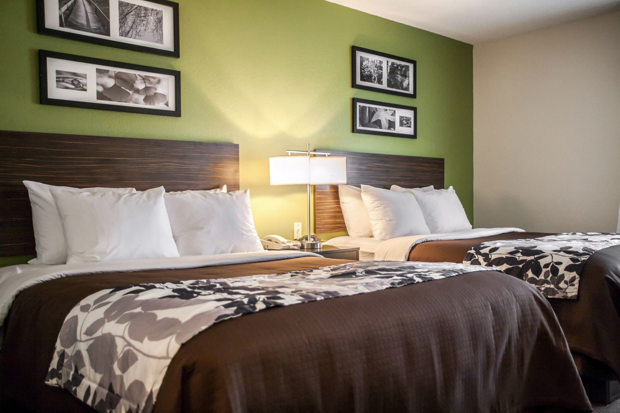 Sleep Inn & Suites Metairie Zimmer foto